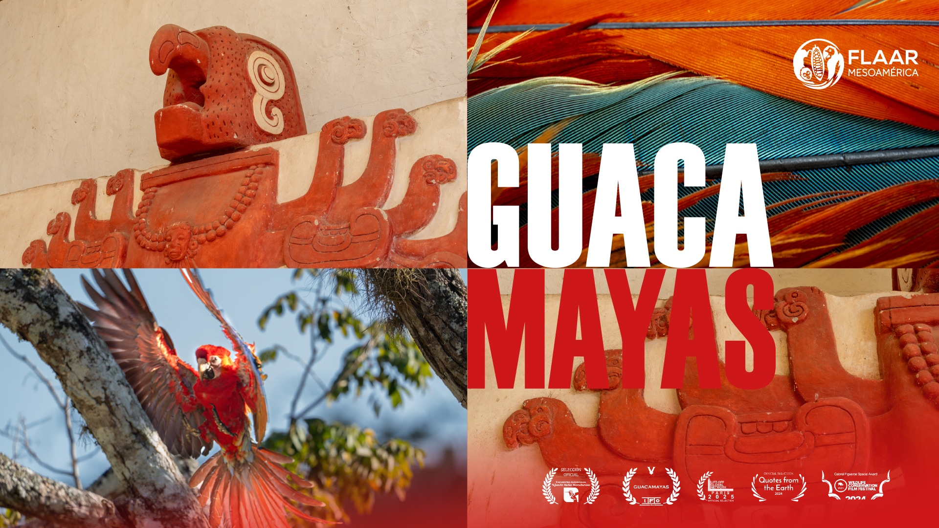 GUACAMAYAS